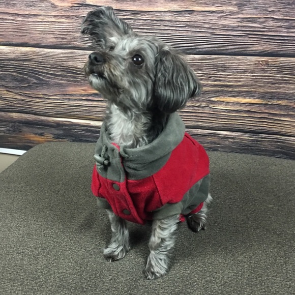 Grey Red Hoodie Sweatshirt Puppy Dog Jacket Small - Picture 3 of 7